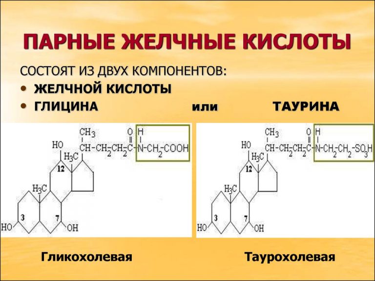 Желчные кислоты презентация