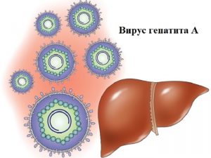 Повышен аст при гепатите с thumbnail