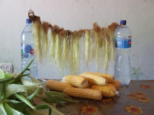 Как заваривать кукурузные рыльца при гепатите thumbnail